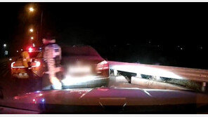 신호 바뀌어도 멈춰있던 차량…음주측정 요구에 30km 달아났지만 ‘덜미’