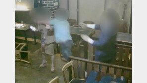 “폭행사건 목격하고도 제지 없이 떠난 경찰관 감봉은 정당”