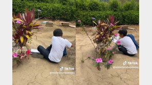 “엄마 보고 싶어”…매일 무덤 찾아가 숙제하는 소년, 전세계 울렸다