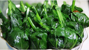 엽산, 임산부에게만 중요? 남성이 적당량 먹으면 ‘이 질환’ 예방