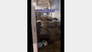 반려견 내동댕이 친 식당 주인…“술 먹고 이성 잃었다”