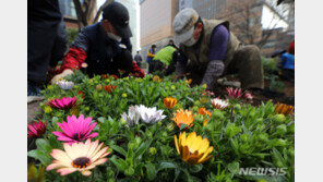 극단선택, 65세이상 노인이 ‘최다’…“경제적 어려움 원인”