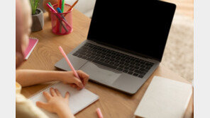 초등학교 홈페이지 학습링크가 성인사이트로…2주간 몰랐다