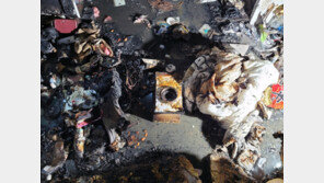 아파트서 에탄올 화로 ‘불멍’ 즐기다…30대女 화상, 수십명 대피