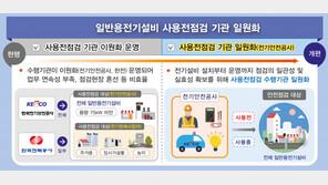 일반용 전기설비 사용전점검, 한국전기안전공사로 일원화