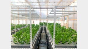 [농업이 IT(잇)다] 핀치그린 “고압 에어로포닉스·기능성 식물소재 전파”