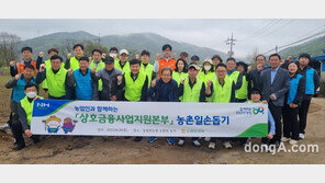 [포토]농협임직원, 농촌일손돕기로 영농철 일손 보태