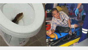 변기에서 나타나 ‘콱’…비단뱀에 물린 태국男
