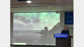 “조작된 입양서류 공개해야”…한국 찾은 해외 입양인들의 외침