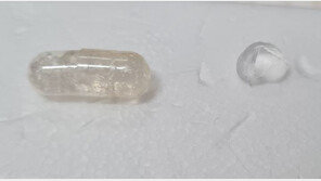 “주사 대신 이것 드세요”…호주서 먹는 인슐린 개발