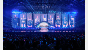 콘서트 필수품 응원봉 5만원 육박… “티켓까지 사려면 알바해야” 