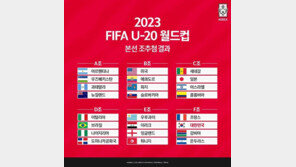 김은중호, U20 월드컵서 프랑스·감비아·온두라스와 H조