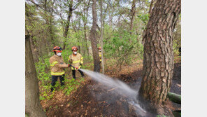 경북 봉화군 야산서 담뱃불 발화 추정 불…34분 만에 주불 진화