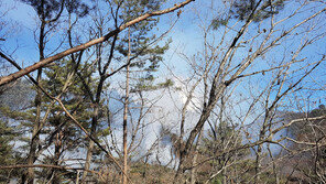 연천 군남면 산불…헬기 동원 1시간15분만에 주불 진화