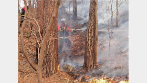 전남 장흥서 입산자 실화 추정 산불…38분 만에 진화
