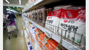 치솟는 국제 설탕 가격…식품업계, 슈거플레이션 우려↑
