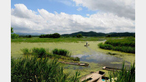 ‘국내 최대 내륙습지’ 창녕 우포늪, 생태관광지역 4회 연속 지정