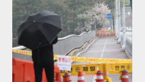 성남시, 교량 보행로 17개 재시공…특별재난지역 선포 건의