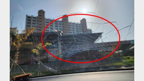 시속 100km 차에 날아든 물병, 앞유리 와장창…고의 투척? (영상)