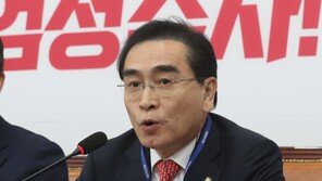 ‘설화’ 태영호, 최고위 참석 재개 “역사 문제는 소신대로 말한것”