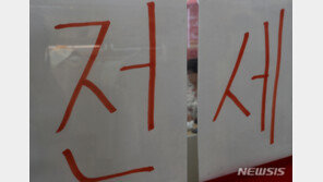 전세사기 피해자에 우선매수권… 경매 자금 대출 지원