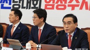 ‘최고위 복귀’ 태영호 “소신대로 발언… 회의 못나올 이유 없어”