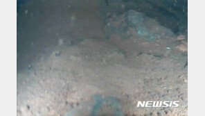 “후쿠시마 제1원전 1호기 원자로 바닥 구멍 뚫렸을 가능성”