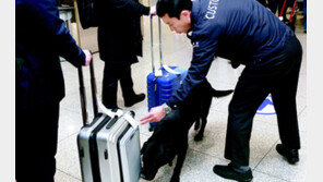 인천 마약범 절반이 20대 이하… ‘마약근절’ 칼 뽑았다 