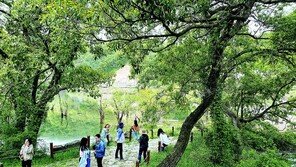 대덕구 여행프로그램 ‘대덕고래여행’ 인기 