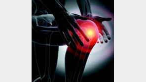 좌식 문화에 익숙한 한국인 맞춤 인공관절 개발