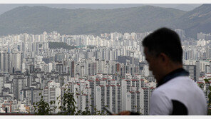 “집값, 내리진 않을 것“…중개사 ‘하락’ 전망, 4개월 만에 85%→37% ‘뚝’