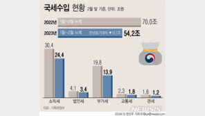 올해 20조 세수부족 전망에도…기재부, ‘세수 재추계’ 안해