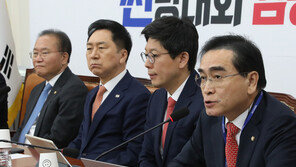 김병민 “태영호 ‘애먼 곳’?…김기현 따라다니며 선거운동, 도움받고선”