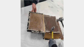 ‘조직 붕괴 뒤 재건’ 5억대 필로폰 밀반입…한미 조직원 5명 구속기소