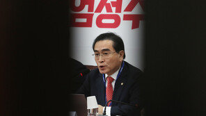 與, 태영호 ‘김기현 저격’ 발언에 쓴소리…“언행에 신중 기해야”