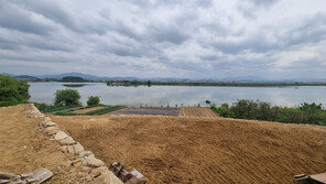 창원시, ‘철새서식지 보호·갈등’ 석산리에 차폐림 조성