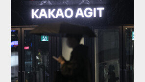 SM 품고 덩치 커진 카카오…“계열사 다이어트는 계속”
