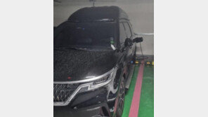 “카니발 전기차?”…케이블 꽂은 수상한 차량 살펴보니