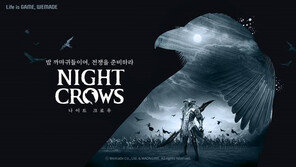 MMORPG 세대 교체 완성? 기대감 안고 출격하는 나이트크로우