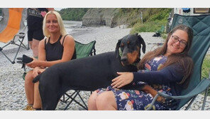 “반려견이 장기 기증자 찾아”…2200만 분의 1 확률 뚫은 英 여성