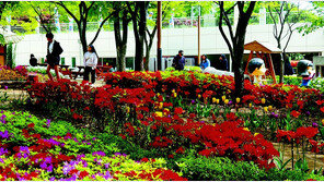 꽃길 따라 봄 산책