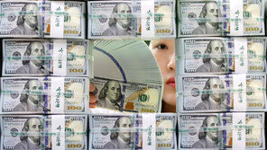 韓 외환보유액 IMF 권고 수준 3년째 미달…“안전망 강화 지속”