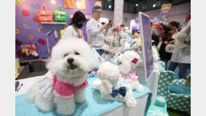 무허가 반려동물 영업자 최대 2년 징역…불법 영업장은 폐쇄도