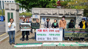 ‘삼나무숲 훼손 논란’ 제주 비자림로 공사 무효소송 2심 간다