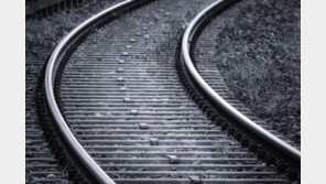 ‘운도 없지’…비행기서 추락 후 기차 치여 사망한 男, 1년째 신원 추적 중