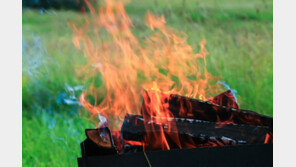 “날이 추워서…” 몸 녹이려고 잔디에 불 지른 외국인 체포 