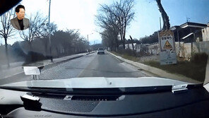 도로 뛰어든 개에 ‘퍽’…개주인에 차 수리비 요구하자 “소송하겠다” (영상)