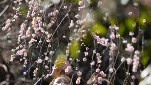 日 ‘29일부터 코로나 입국 규제 철폐’ 조율
