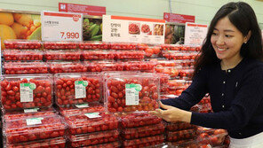 가정의 달 5월, ‘과대포장’ 넘어 ‘착한 포장’이 뜬다