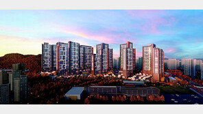 10년 후 분양전환 가능한 대단지